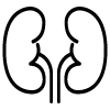 mochepolovaya-sistema.png
