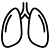 organy-dyhaniya.png