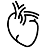 serdtse-i-sosudy.png